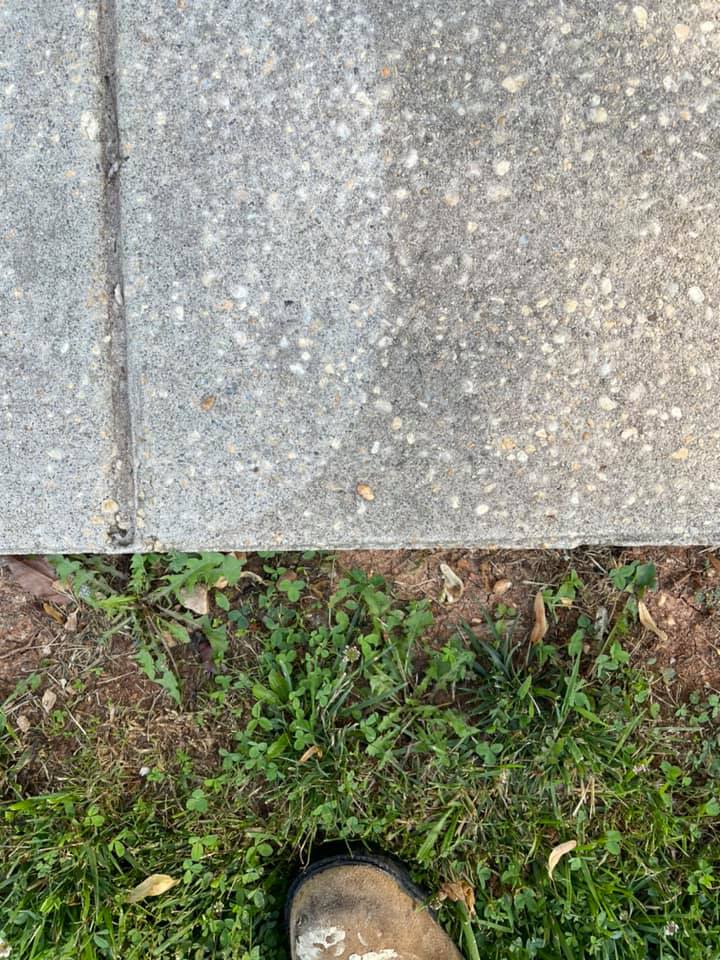 Concrete sidewalk next to grass, with the tip of a shoe visible at the bottom.