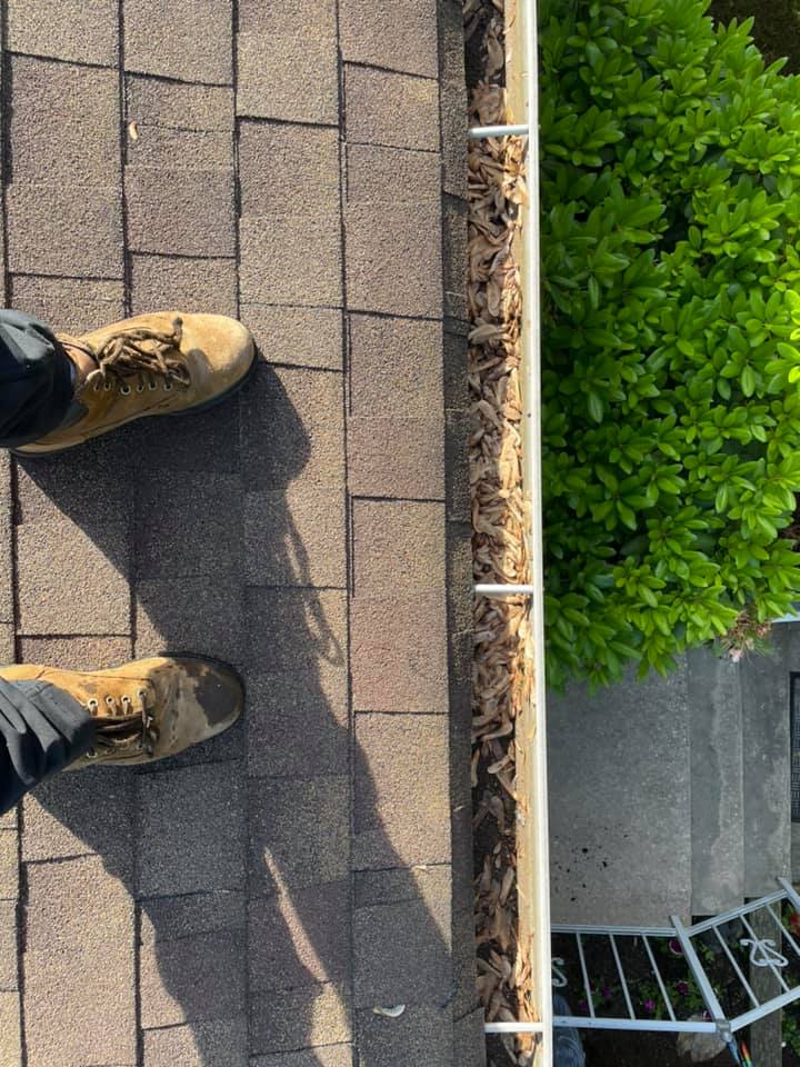 Boots on a shingled roof beside a gutter and green shrubbery.