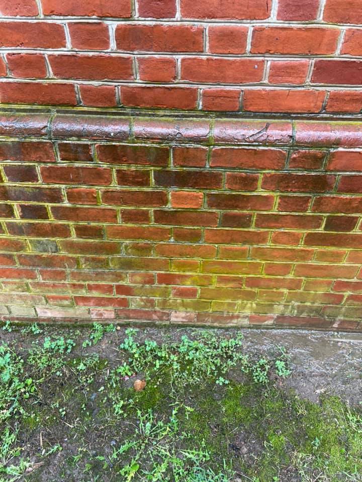 Mossy red brick wall with damp stains above a concrete path and green weeds at the base