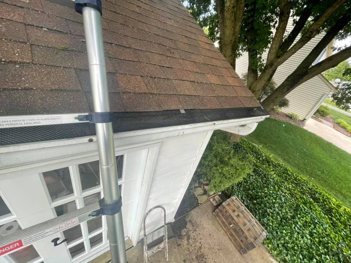 Roof and gutter of a white house beside a hedge, with a ladder leaning against the wall.