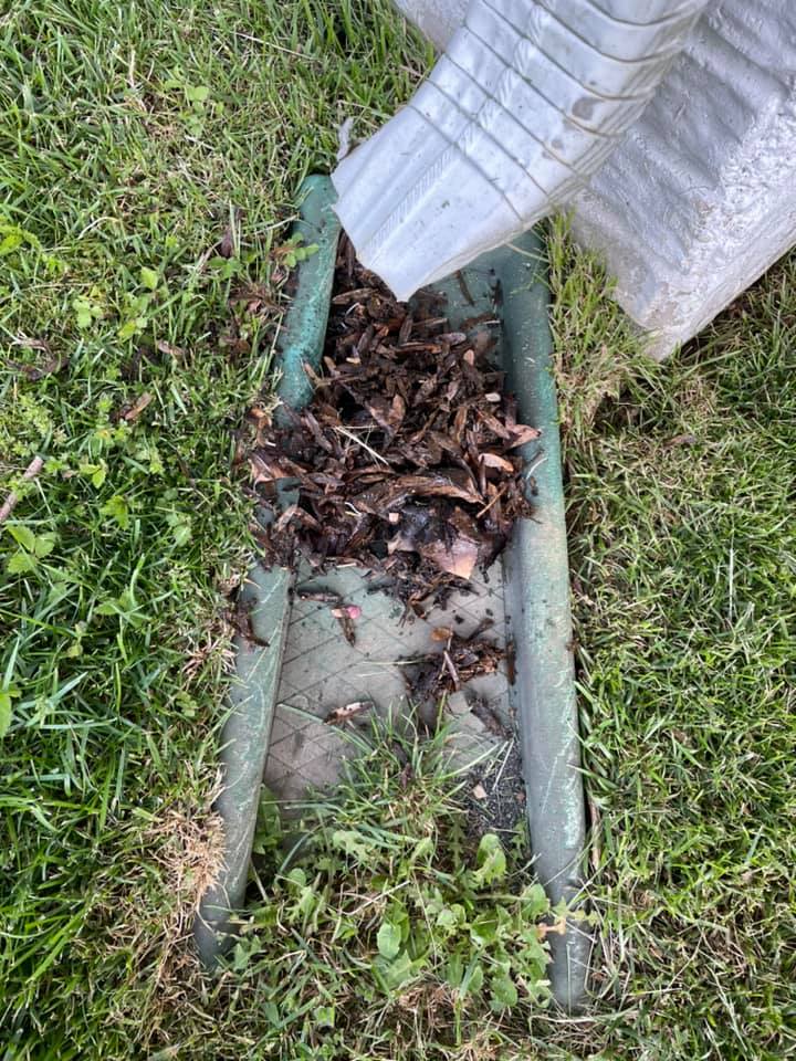 Clogged storm drain with leaves and debris beside a grassy roadside, with a white bag nearby