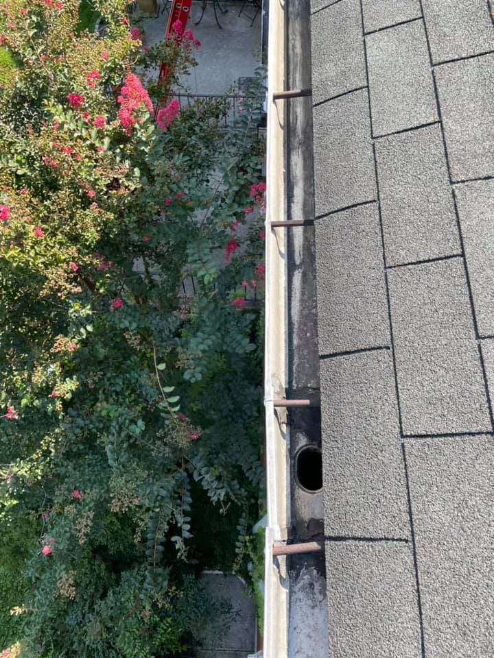 Rooftop edge beside dense green shrubs with pink flowers and gray shingles.