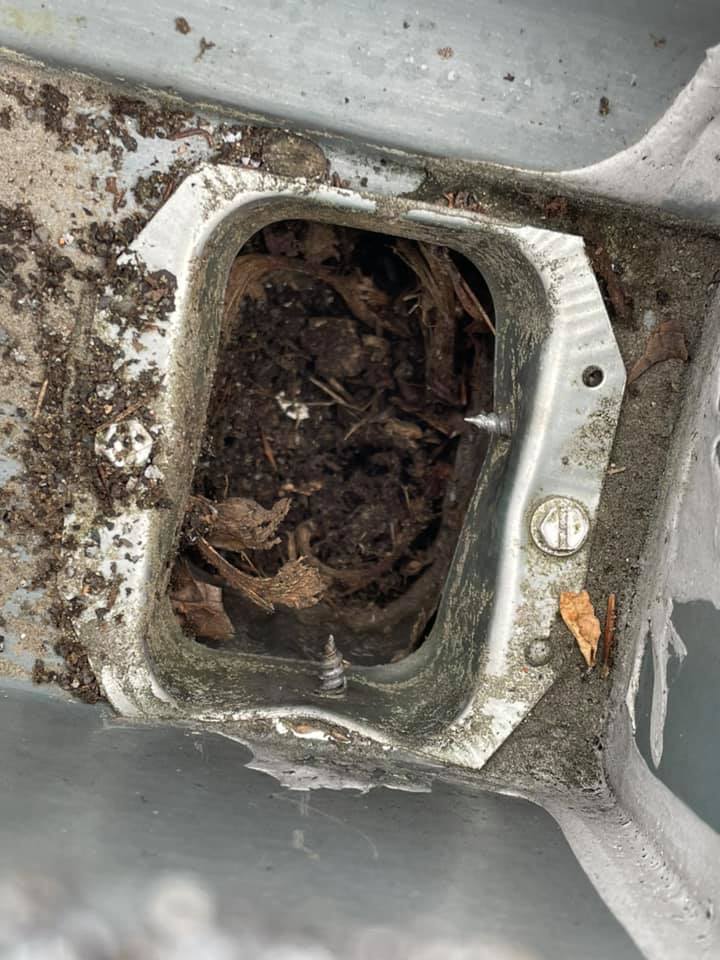 Close-up of a dirty metal floor opening filled with leaves and debris, likely a vent or drain.