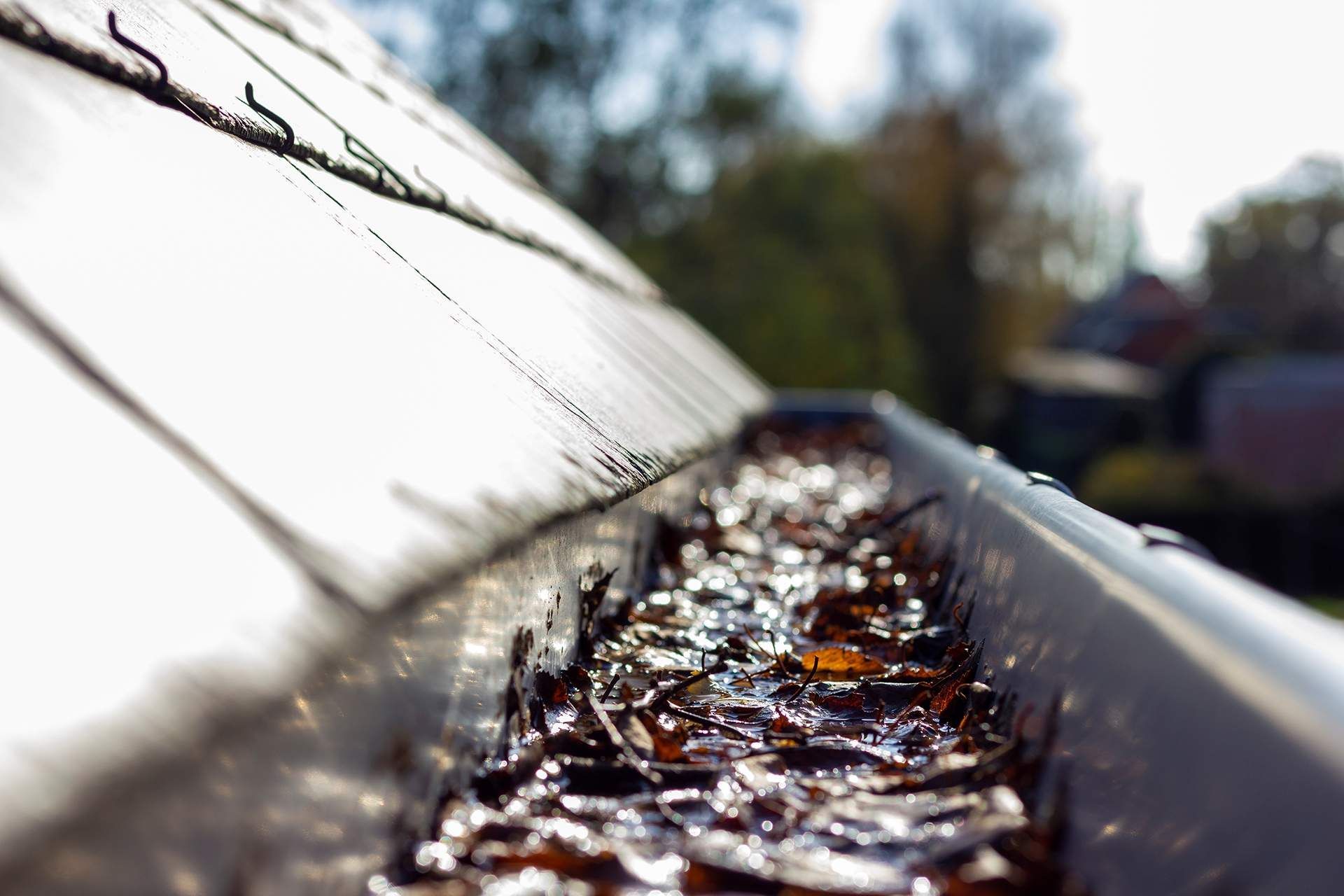 Close-up of a rain gutter filled with leaves and debris along a white roofline.