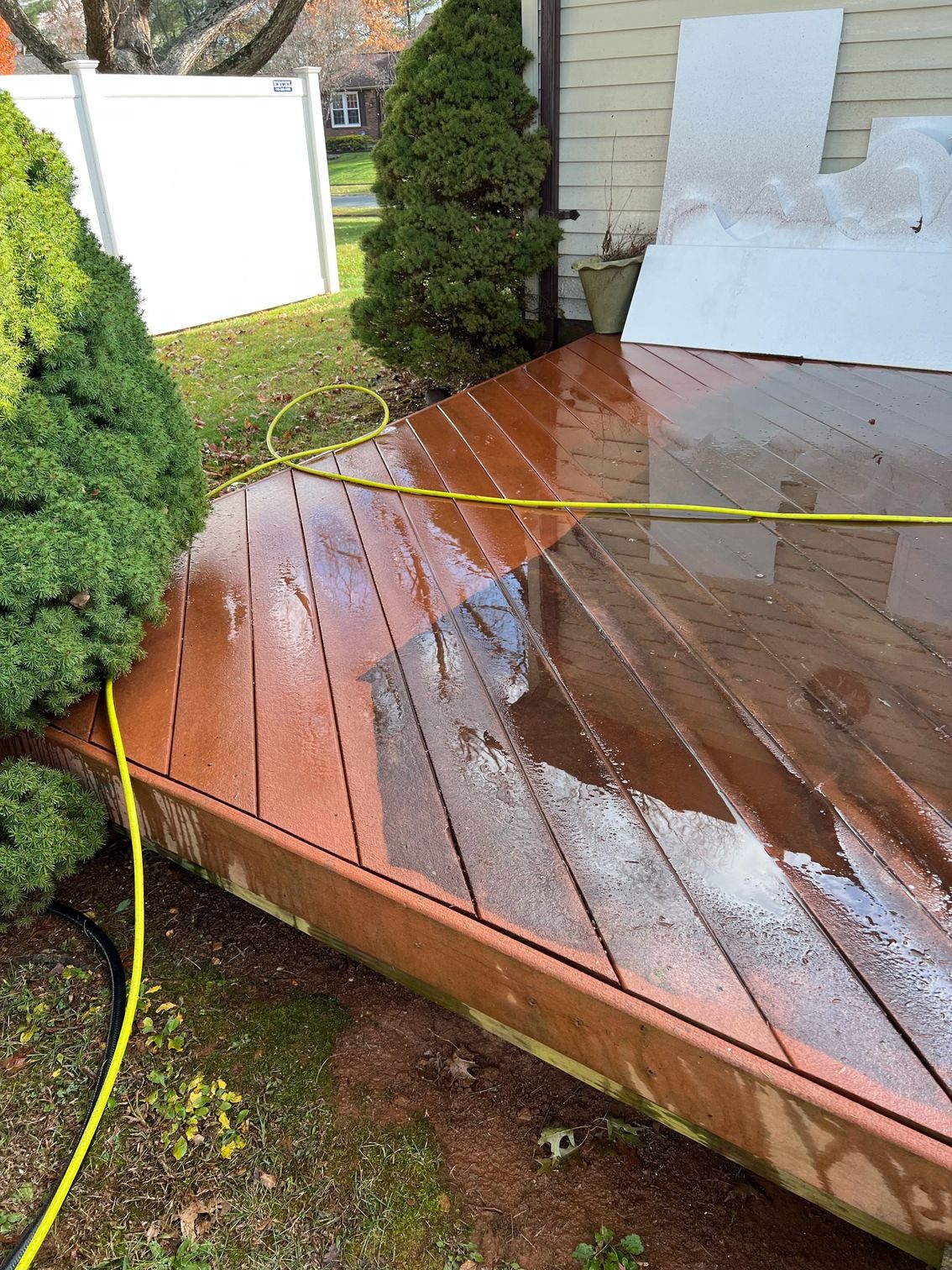 Wet wooden deck with yellow hose, evergreen shrubs, and a white wall panel in a backyard.