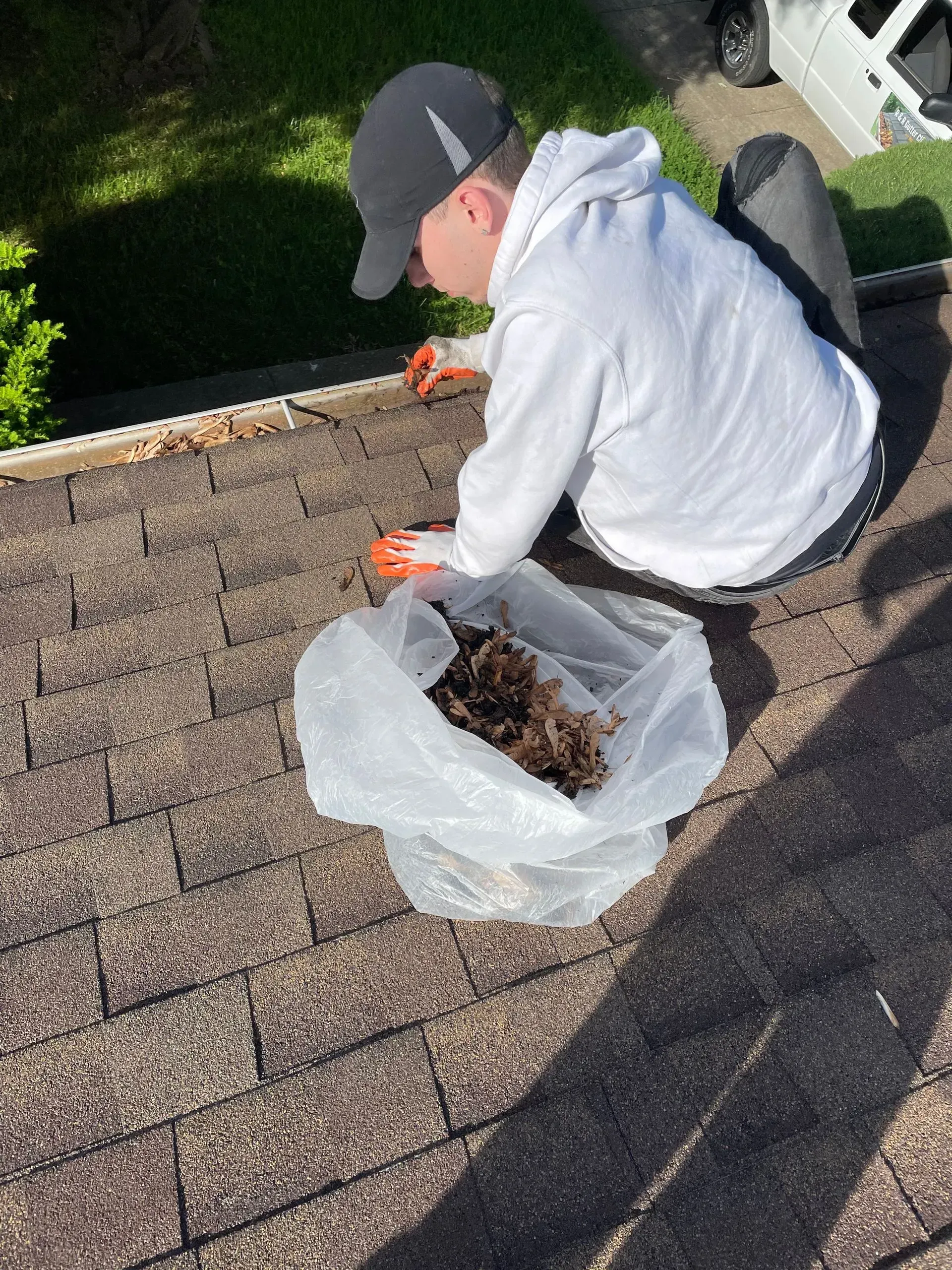 Person on a shingled roof cleaning debris into a white trash bag with orange gloves