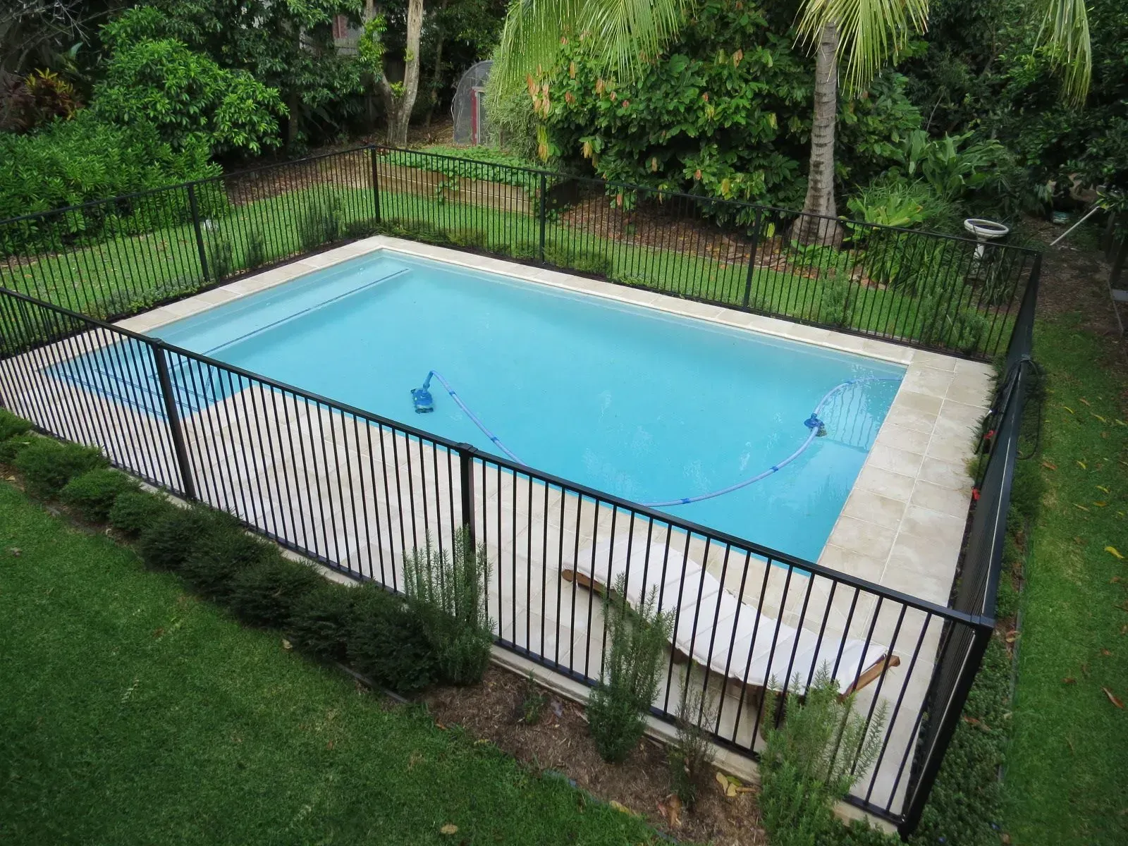 A Swimming Pool With Black Fence — Doug Allen Pools In Beaconsfield, QLD