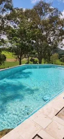 A Swimming Pool With Trees In The Backyard — Doug Allen Pools In Beaconsfield, QLD