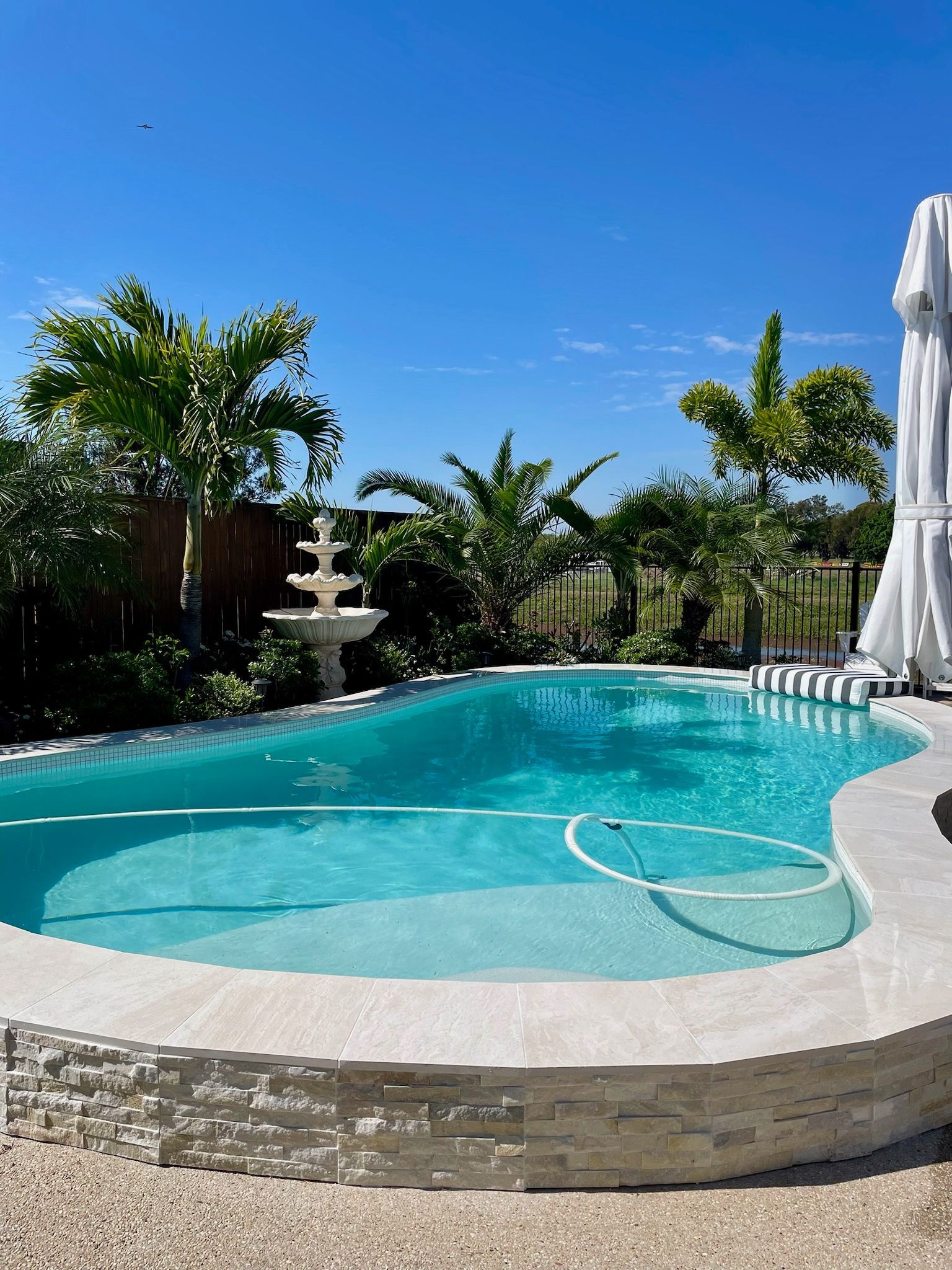 Sunny backyard swimming pool with clear blue water, stone edge, and tropical plants under a bright sky — Doug Allen Pools In Beaconsfield, QLD