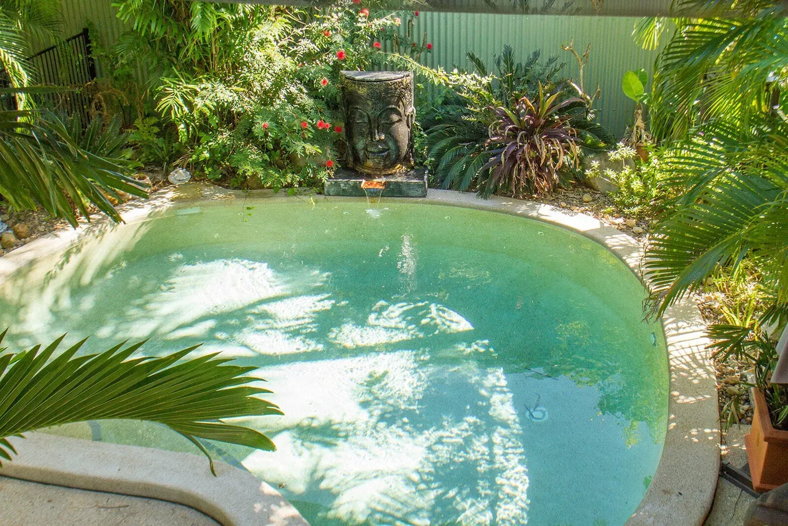 A Small Swimming Pool With A Trees Surrounded Around — Doug Allen Pools In Beaconsfield, QLD