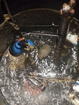 Muddy pit with pipes and cables, including a blue floating device in dark water.