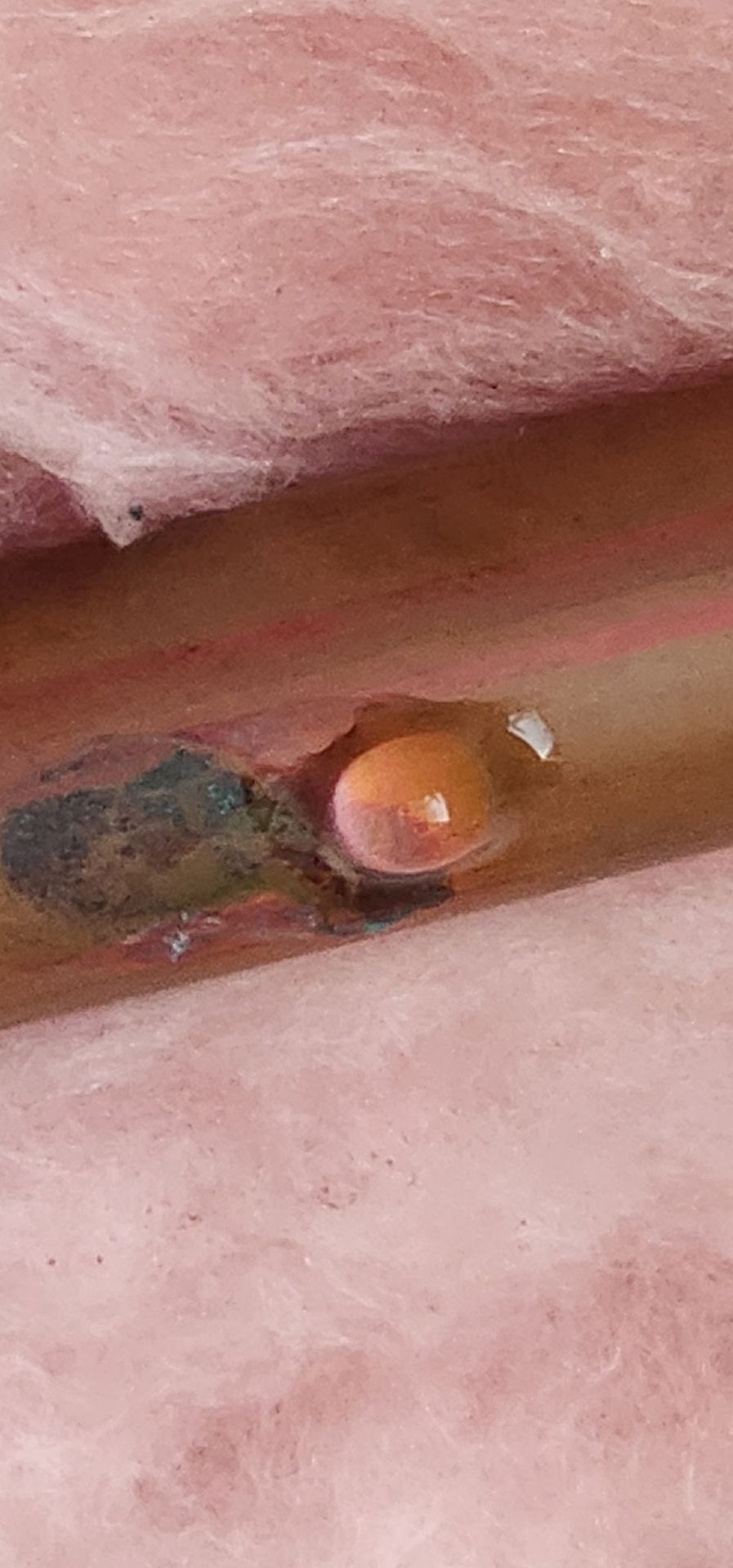 Close-up of a small orange blister on pink skin near a dark scab