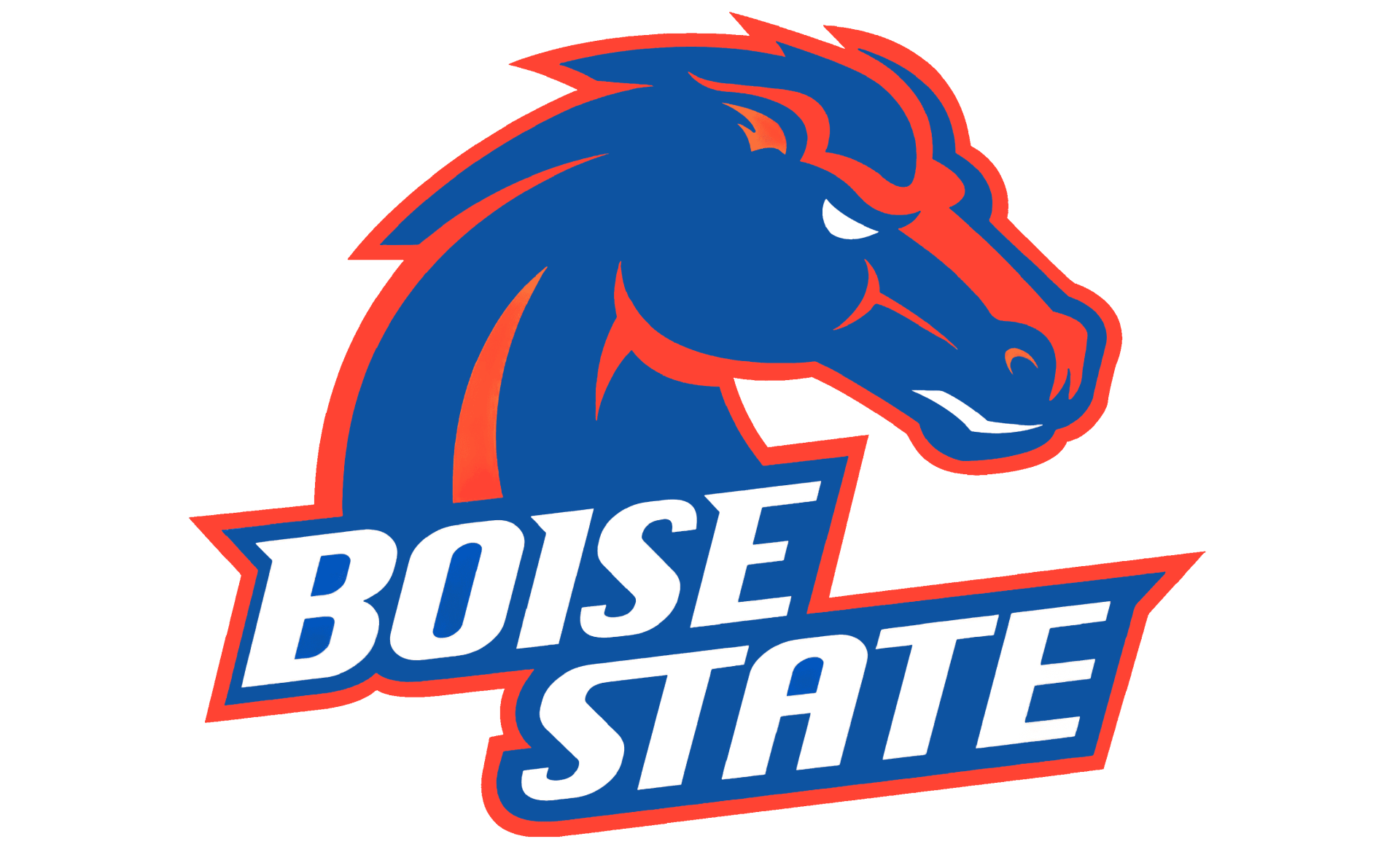 boise roundnet