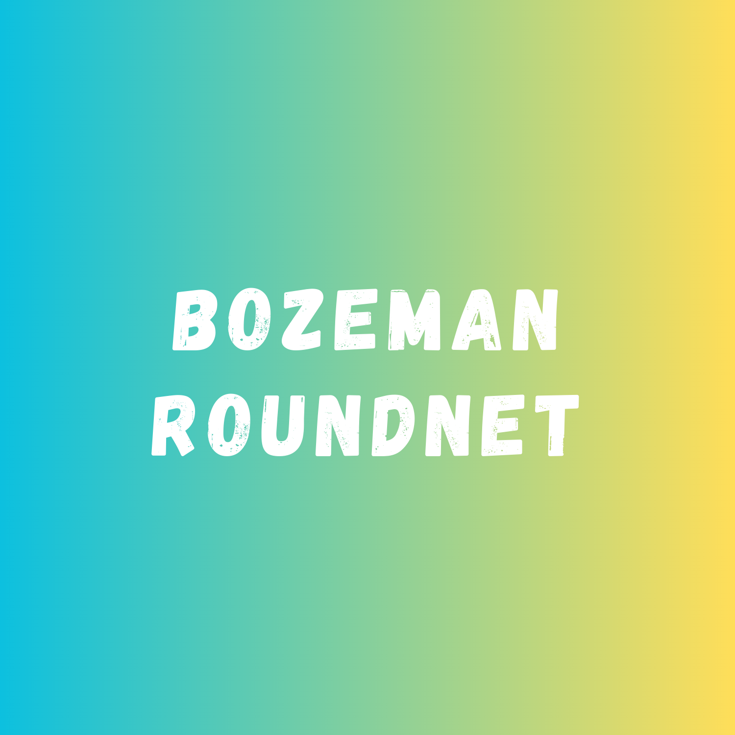 bozeman spikeball