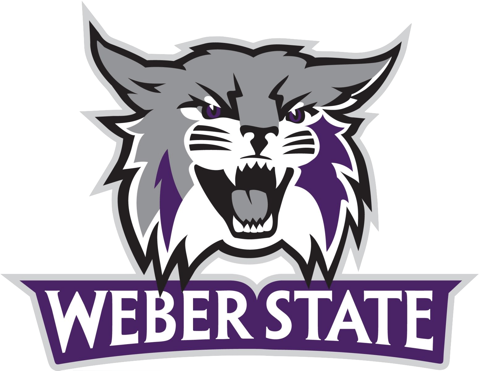 weber state university spikeball club