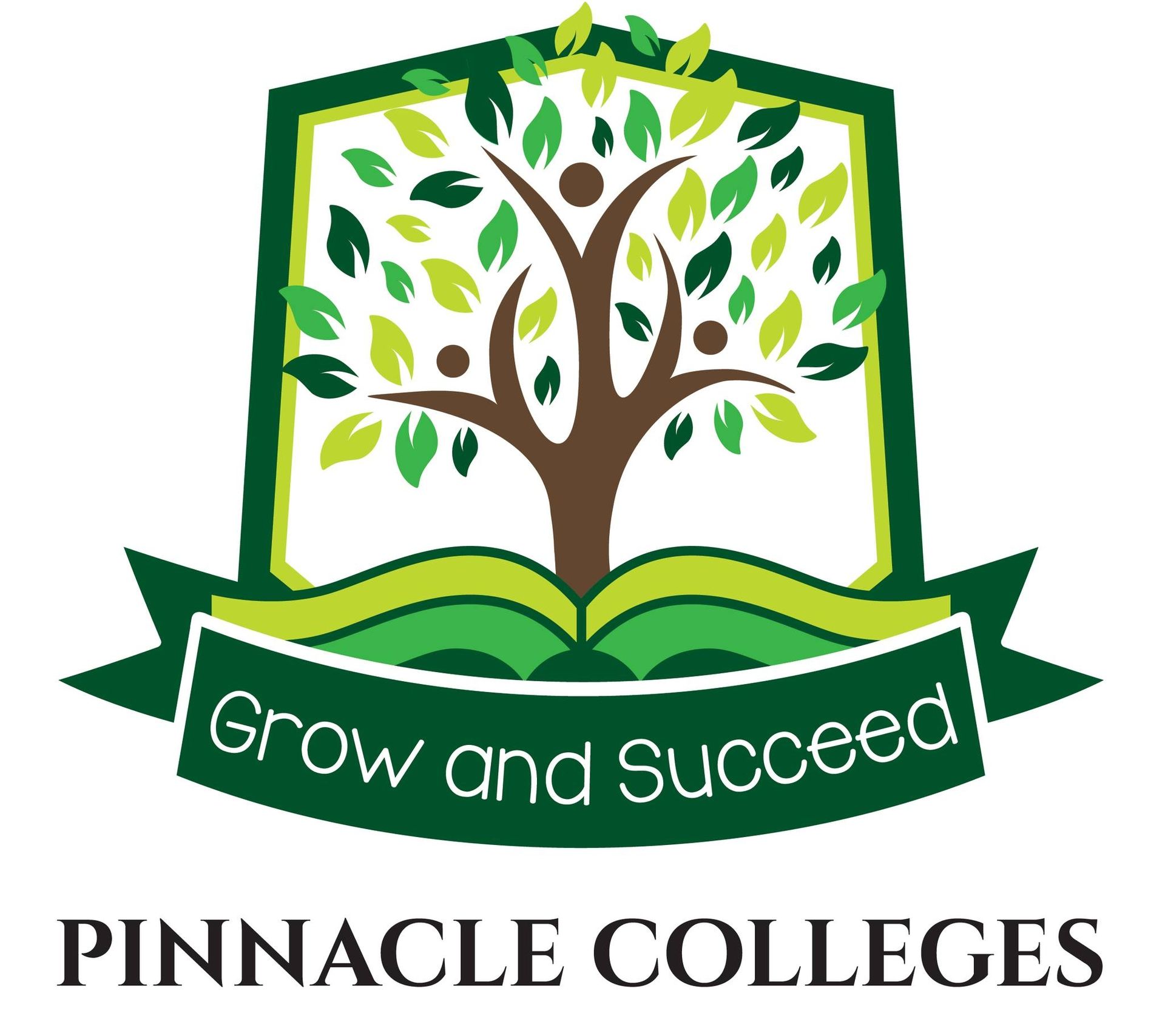 pinnacle-college-ridge-view-about-us