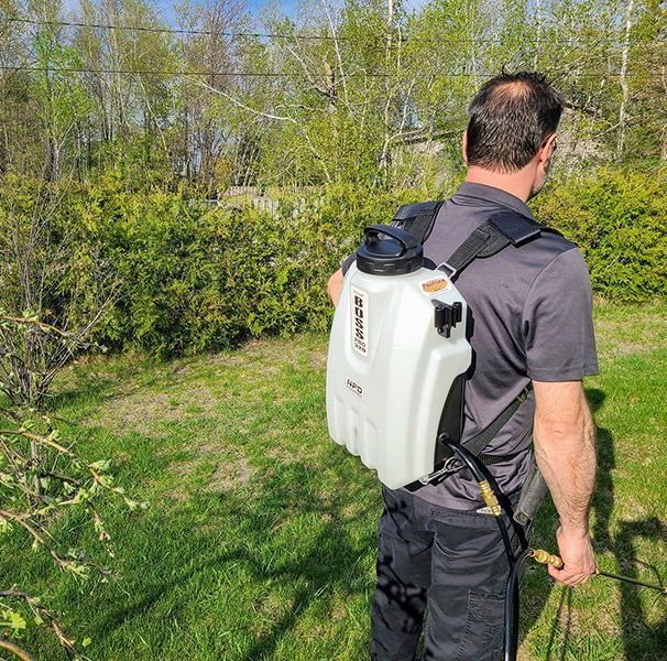 Un homme pulvérise une pelouse avec un pulvérisateur à dos.