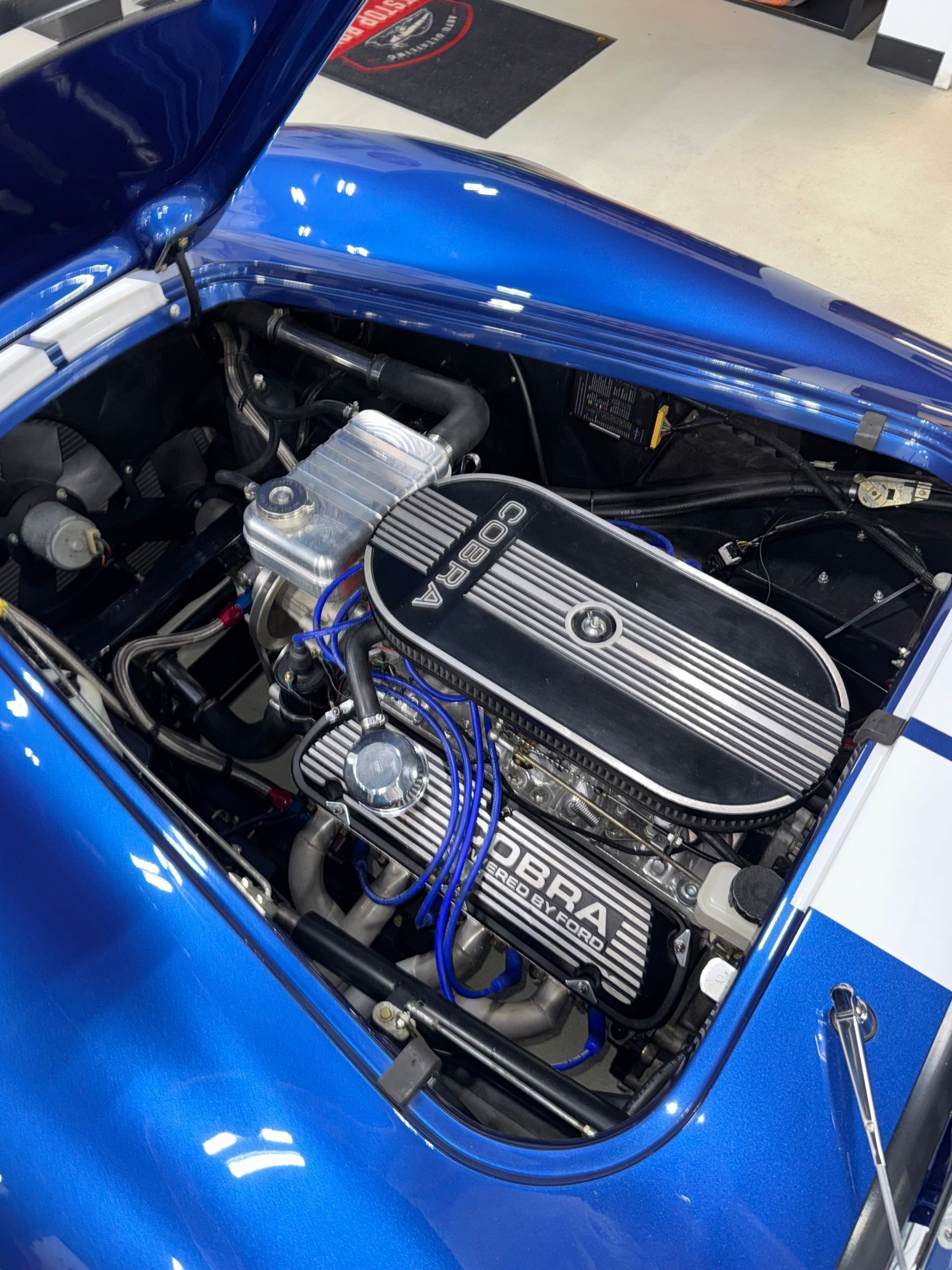 Blue car engine bay with polished chrome and black valve covers on display