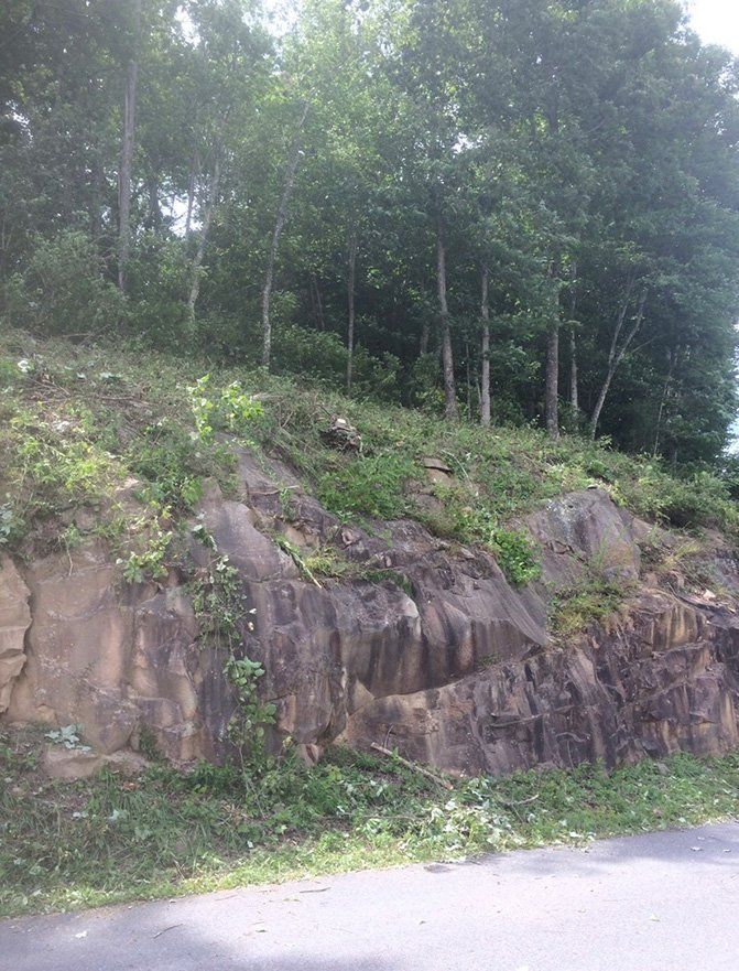 Road next to tree area with downward slope — Daniels, WV — Mastiff Lawn & Tree Care