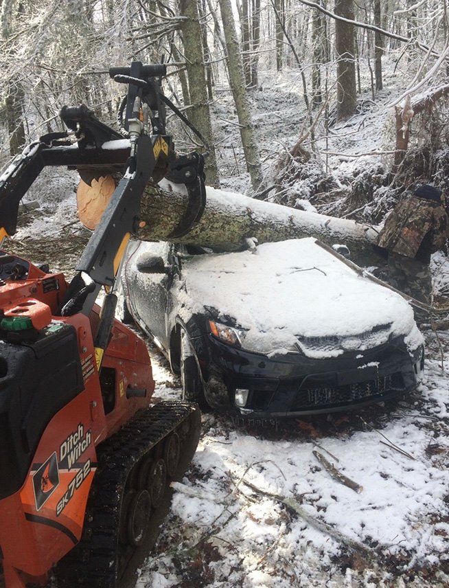 Small excavator lifting log that fell down on car — Daniels, WV — Mastiff Lawn & Tree Care
