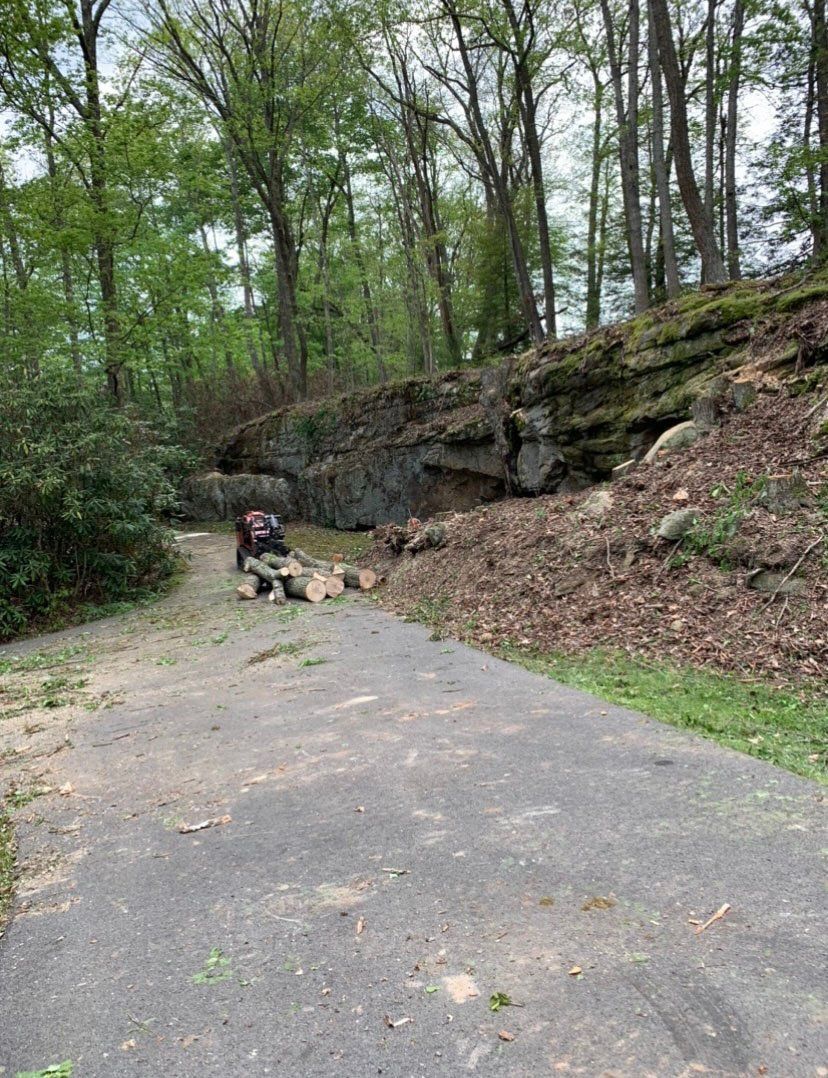 Multiple logs stacked on road — Daniels, WV — Mastiff Lawn & Tree Care