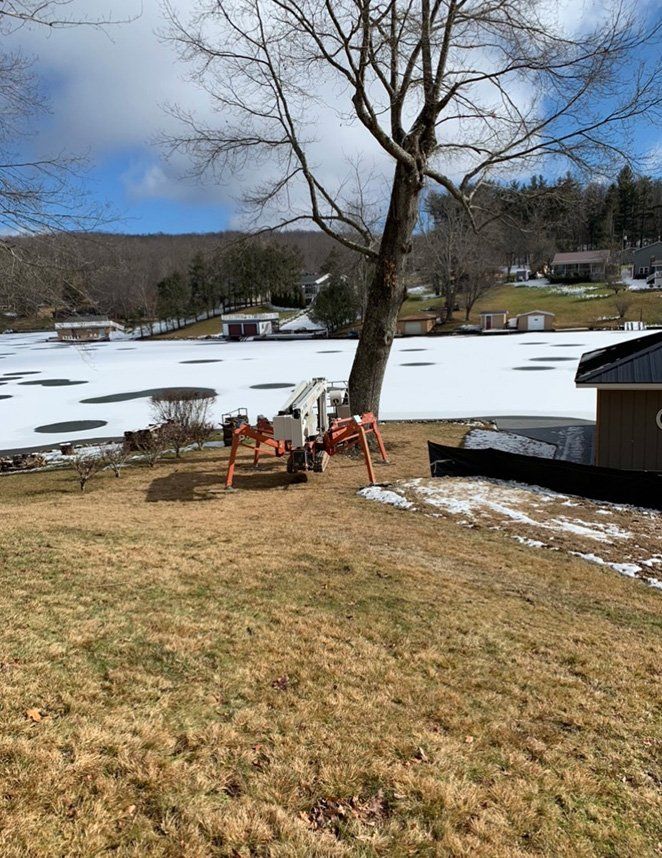 Aerial lift in front of tree with no leaves — Daniels, WV — Mastiff Lawn & Tree Care