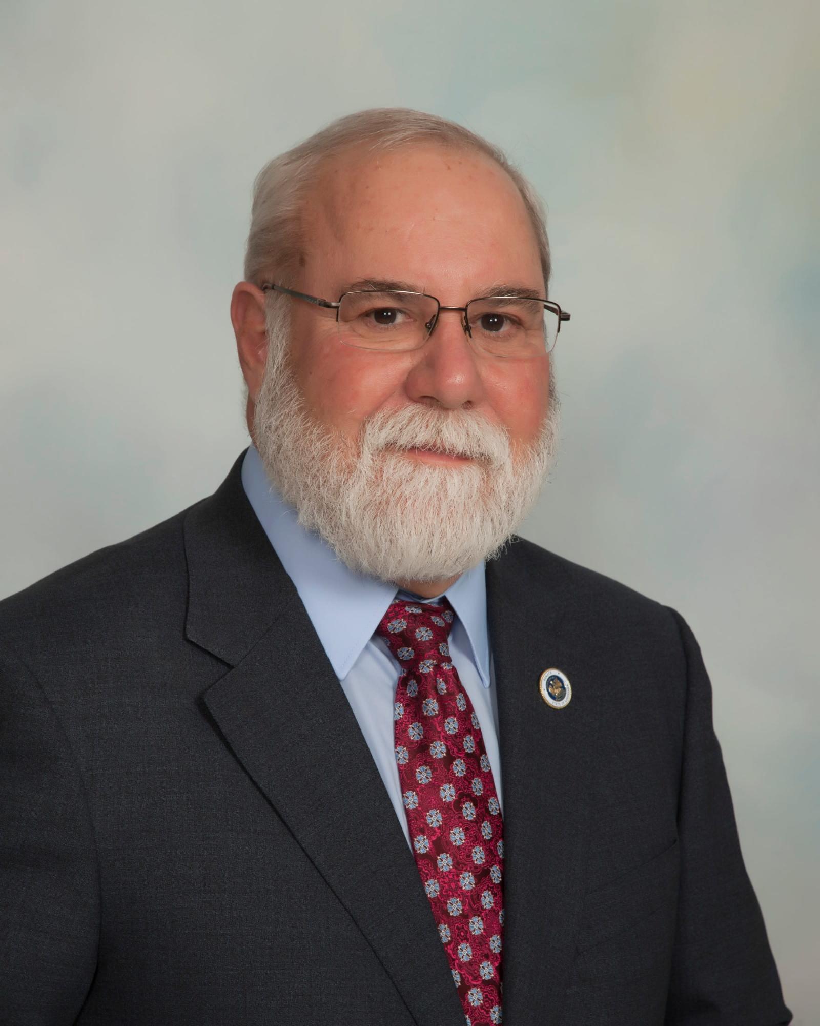 A man with a beard is wearing a suit and tie