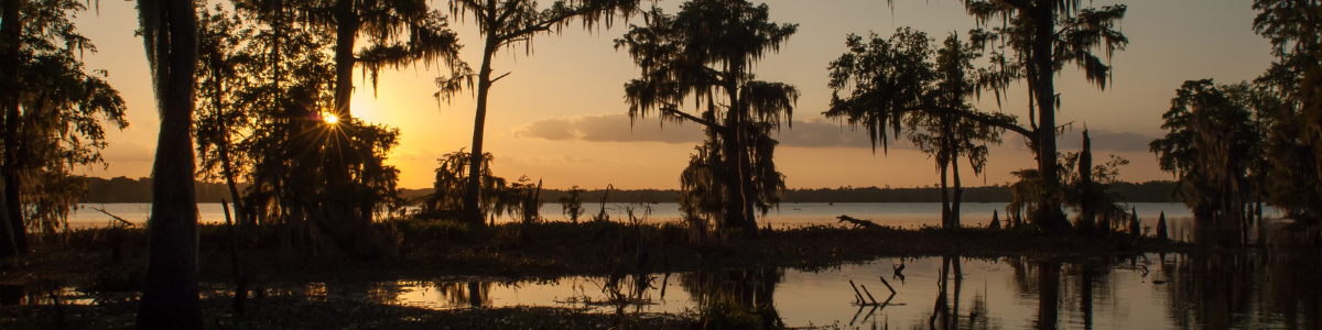 Community | Bayou Bend Health System