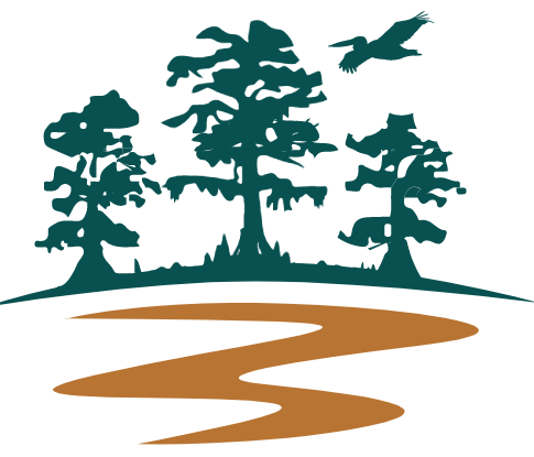 A silhouette of trees and birds flying over a river