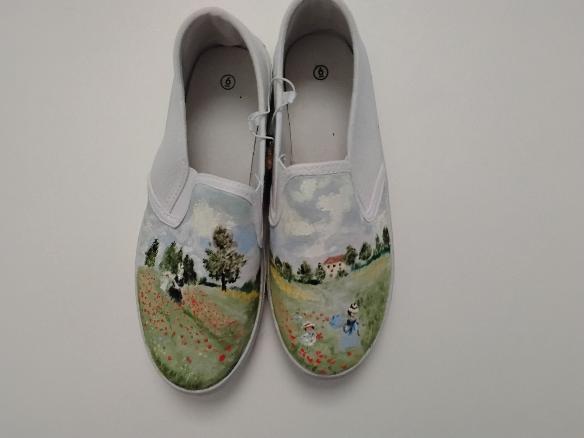 Monet's poppies inspired shoes