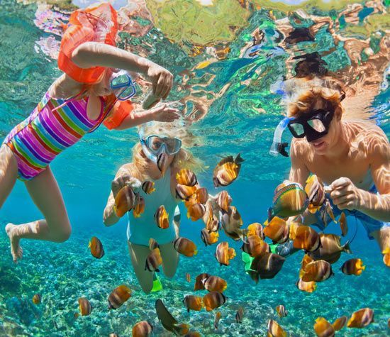 Two snorkelers swim among colorful fish in clear turquoise water