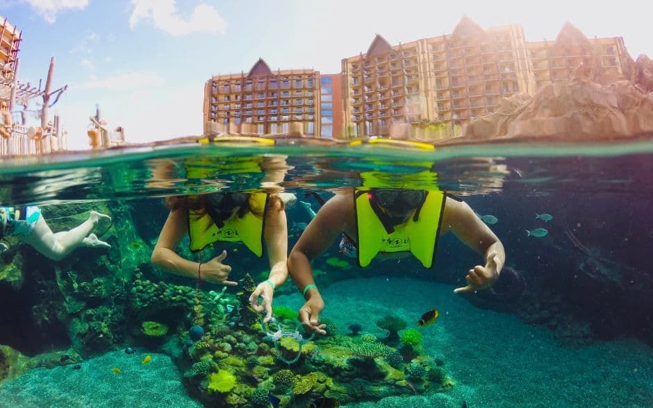 People snorkeling over a coral reef, split view above and below water, with beachfront resorts behind them