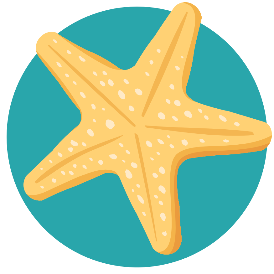 Yellow starfish on a teal circular background