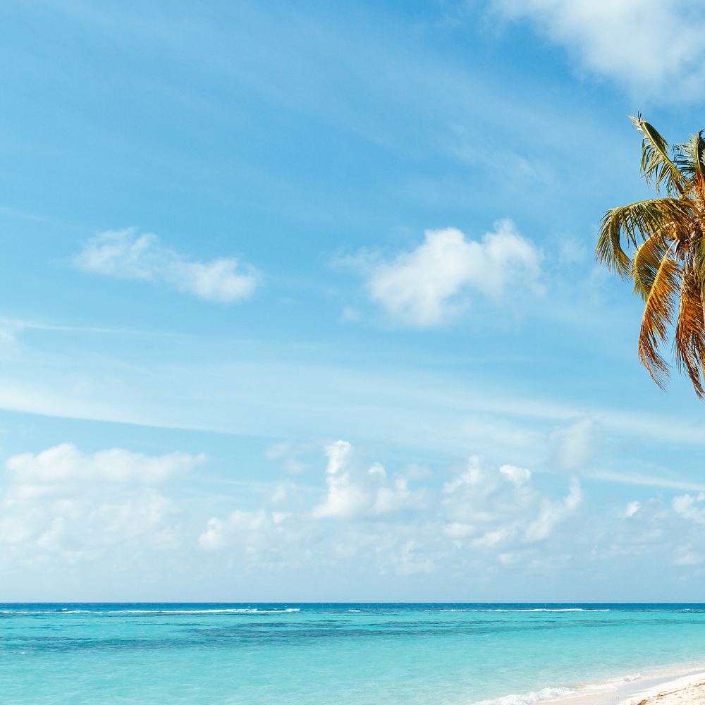 Tropical beach with turquoise water, blue sky, and palm fronds in the corner