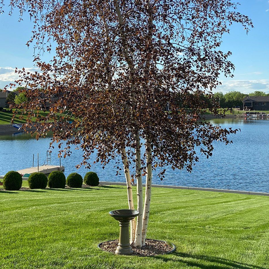 Beautiful waterfront landscaping