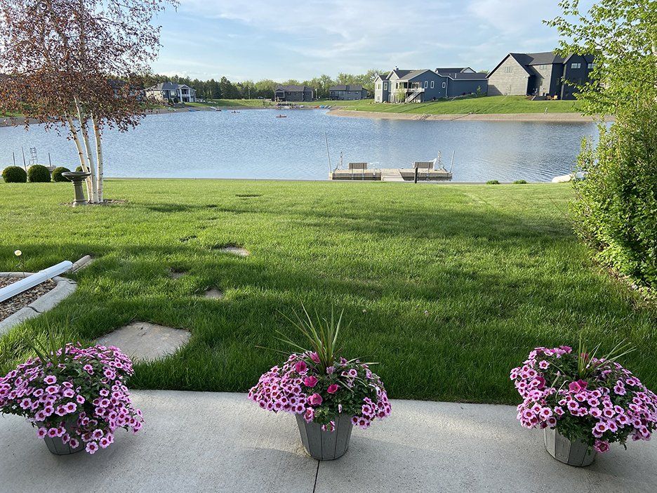 pink flowers on a patio