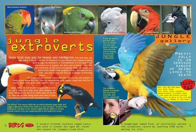 Birds of the World