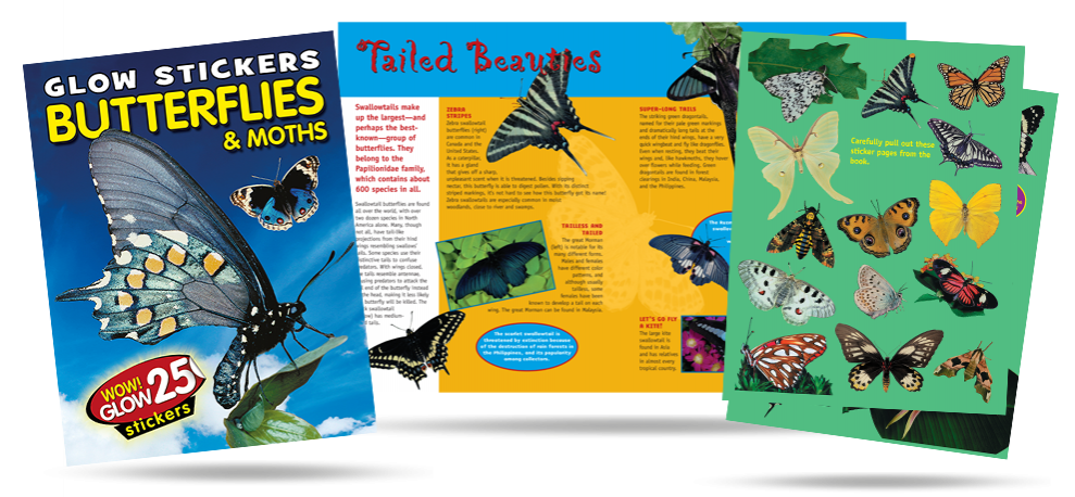 Butterflies and Moths