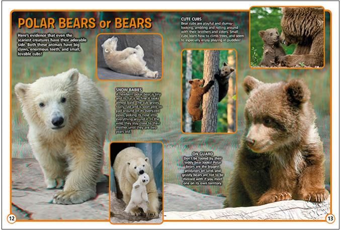 a book is open to a page that says polar bears or bears