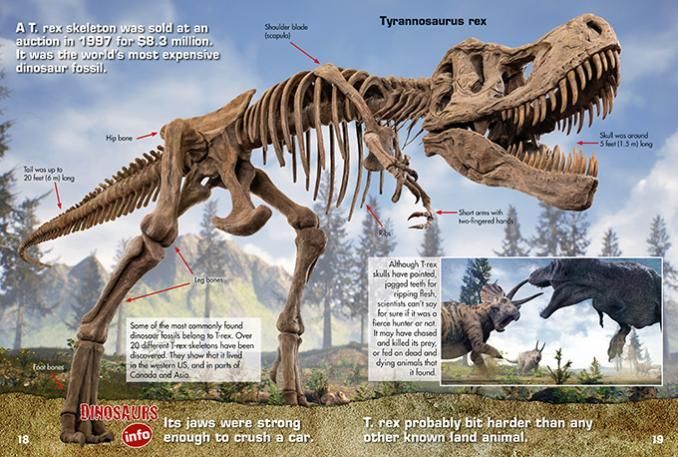 Dinosaur Lenticular stickers 48pp