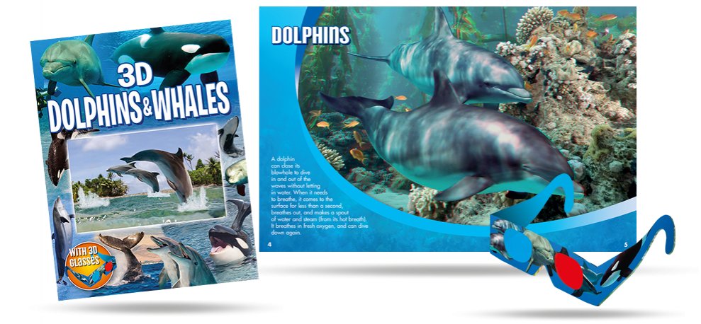 Dolphins and Whales
