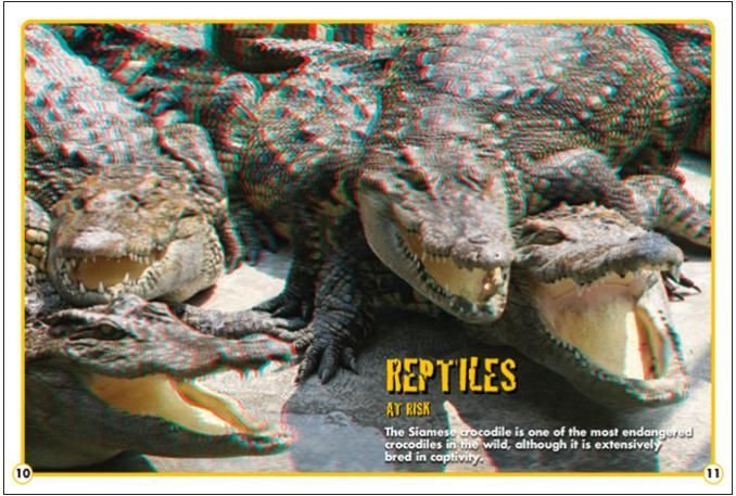 Endangered Wildlife