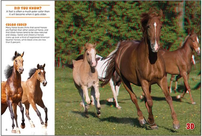 Horses and Ponies