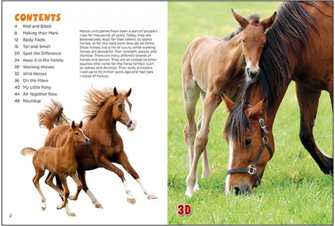 Horses and Ponies