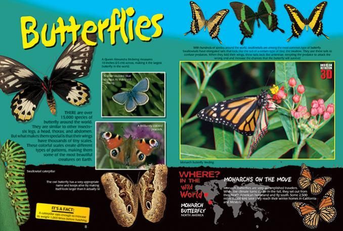 Insects