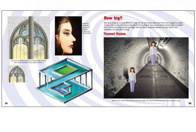 Mind Boggling Illusions