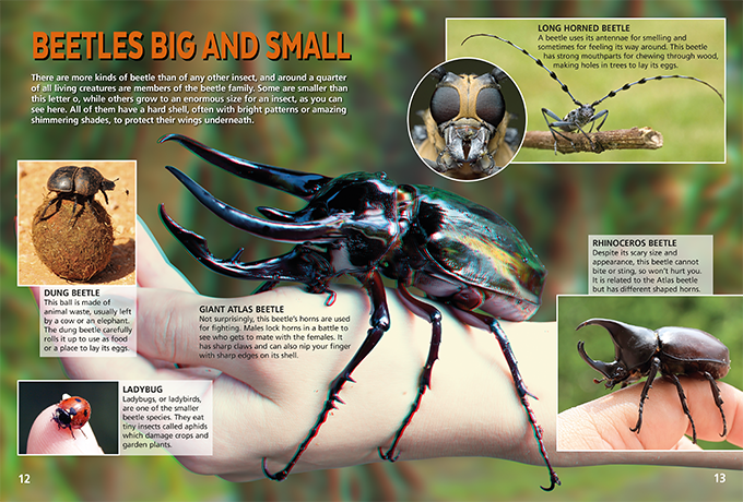 Creepy Crawlies