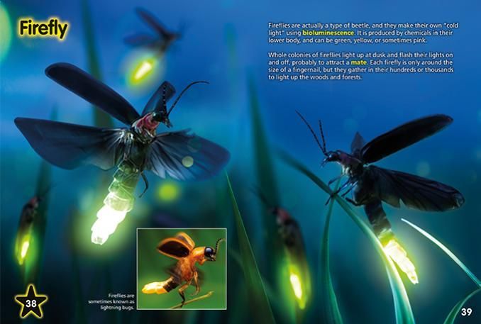 Travel around the globe to see nature’s wonders and see stunning images that are accompanied by fascinating facts.