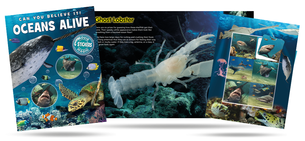 Oceans Alive