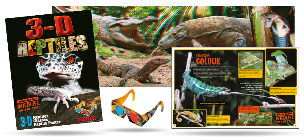 Reptiles
